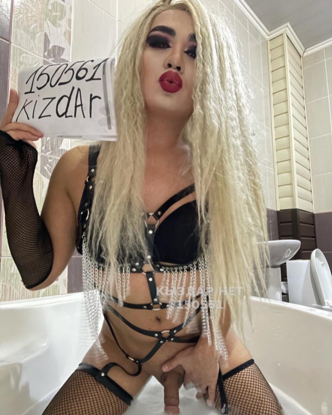 Bounty trans Шымкент, 24 catalog.years_old — Шымкент